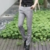 Mùa xuân mới quần nam phiên bản Hàn Quốc của quần phù hợp tự tu quần kinh doanh trang phục giản dị quần nóng miễn phí quần dài mùa xuân và mùa thu quần dài nam Suit phù hợp