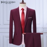 Мужской комплект, демисезонный пиджак классического кроя для отдыха, свадебное платье, в корейском стиле