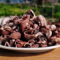 Taste the East China Sea cuttlefish skin bulk fresh stir-fry cooking delicacies