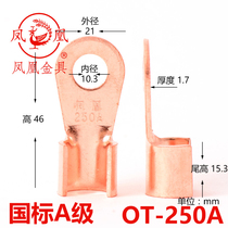 (Quality Assurance) Phoenix National Standard a Open Nose 250A thick 2MM hole 10MM open copper nose