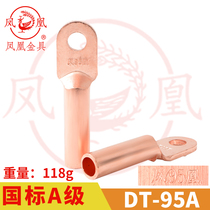 Phoenix Gold (National Standard A) copper joint DT-95MM2 (square) copper nose copper terminal