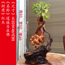 Fine mahogany wood carving ornaments pure hand carved crafts porch Maitreya Buddha decoration Yew flower pear camphor