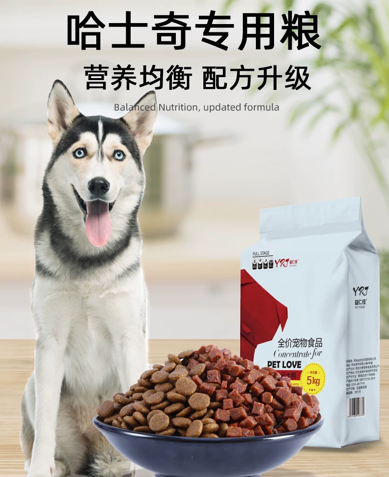 Yirenjia Thức ăn cho chó 40 kg Thức ăn cho chó Husky Đặc biệt cho chó con Chó trưởng thành Dinh dưỡng chung Thực phẩm chính 20 Chất bổ sung canxi cho tóc đẹp - Chó Staples