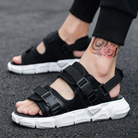 8866/черно -белый