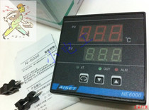 Shanghai Yatai Instrument NE-6411V 6411V-2D (N) NE6000-2 electronic intelligent thermostat