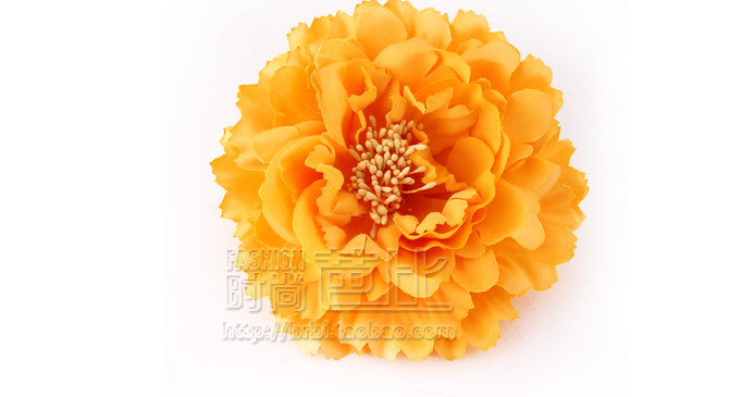 Broche femme en Fils de soie - Ref 1185617 Image 33