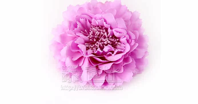 Broche femme en Fils de soie - Ref 1185617 Image 42