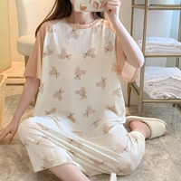 Абрикосо-Jyz58215