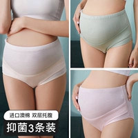 [9638 модернизированная антибактериальная модель] Порошок юанки + медовый порошок + яблочный зеленый (жаккардовый дизайн австралийский хлопковый материал)