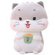 ຈອກຊາຂອງແທ້ cat ຊາຫນູຫນູ doll soft plush toy cat doll ນອນ pillow doll