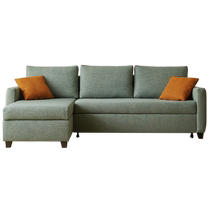 Shuanghu sofa bed modern simple folding bed Nordic small apartment living room home multi-functional dual-purpose sofa 209