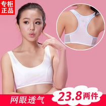 Girls underwear thin sports cotton bra student underwear 10-13 years old small Vest development period first stage