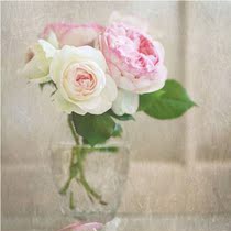 Shipping Fee Rematch