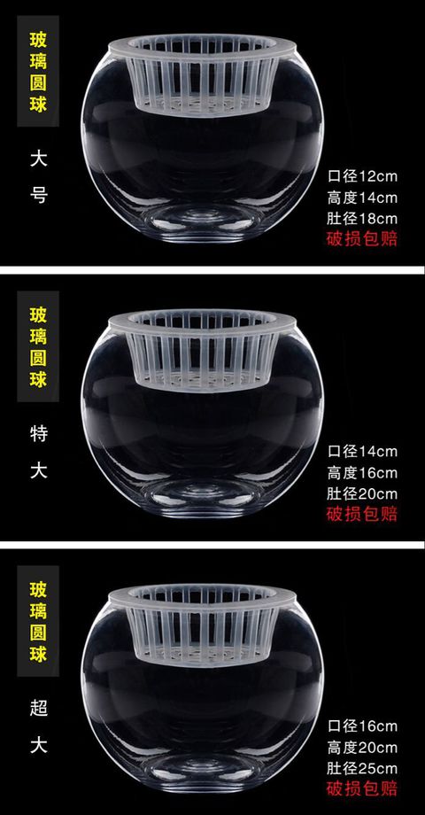 Bình thủy tinh bóng lục bình thì là màu xanh nước hoa thủy tinh chậu hoa thủy tinh - Vase / Bồn hoa & Kệ chậu sứ mini