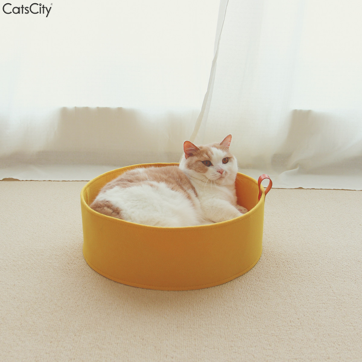 CatsCity Nordic ins wind round felt cat litter four seasons universal cat bed summer cool to send ice pad velvet pad