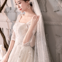 Bridal veil female 2020 new veil Korean wedding smearing wedding sparkling net red shaking sound ultra-long smearing