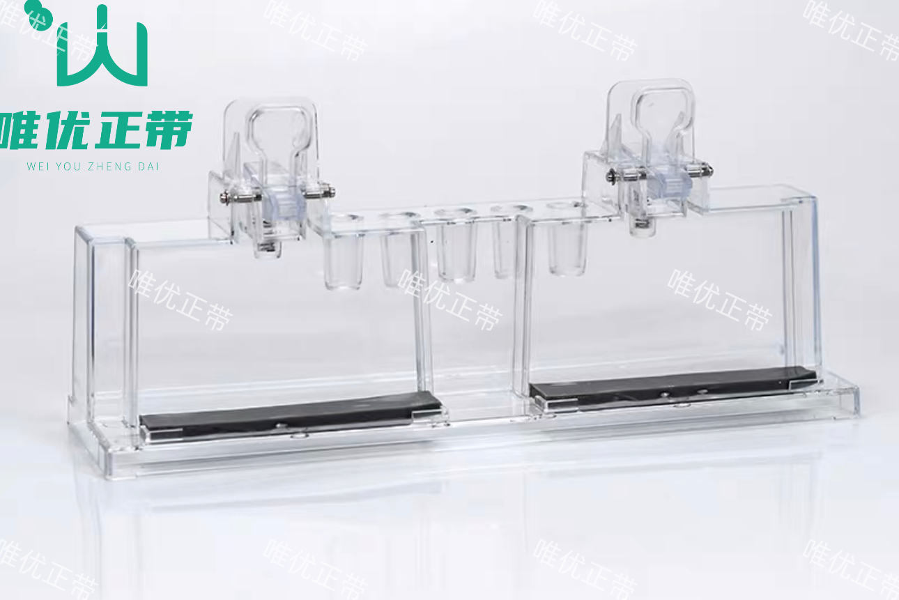 制胶架wb制胶架Western伯乐电泳制胶架密封条BIO-RAD1653303国产
