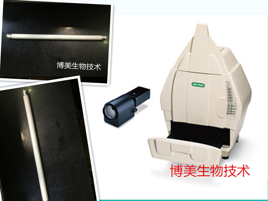 BIO-RAD 伯乐凝胶成像仪 专用紫外灯