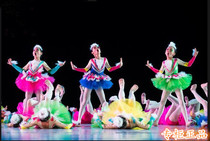 The new eighth Xiaohe style bird boychildrens performance clothing chicks and birds performance clothing birds and birds