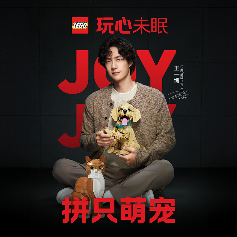 [Same Model as Wang Yibo] Lego Official official store 21376 Orange Cat 11384 Golden Retriever Puppy Building Block Dog