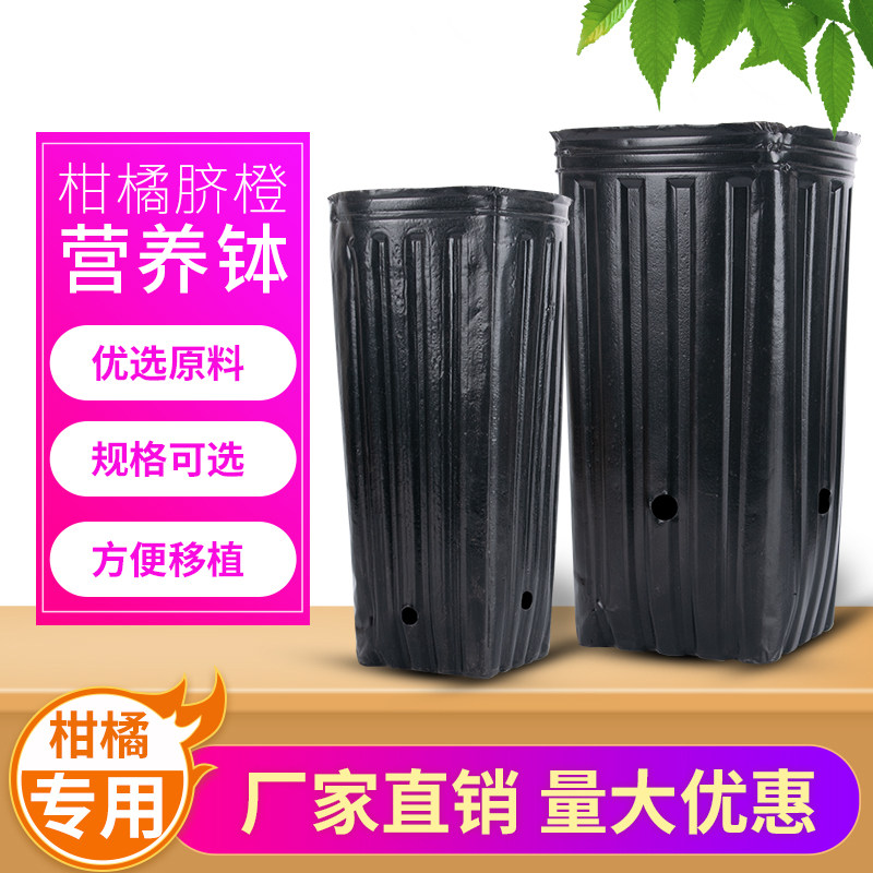 Nutrition bowl seedling pot plastic seedling cup round mouth citrus cup thickened nutrition bag seedling bag planting bag navel orange