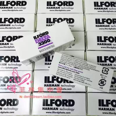ilford ilford Elford 3200 seconds 400 degrees forced 120 black and white film negative portrait landscape 2021