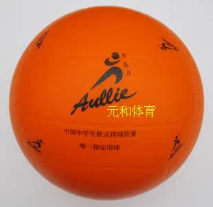 Ballon de volley - Ref 2012975 Image 3