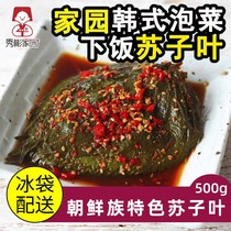 Yanbian folklore food Su cotyledon kimchi Yanbian Korean Pickles rice 500g authentic Korean kimchi