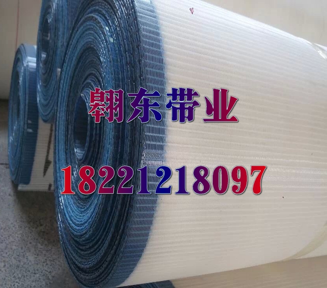 High temperature polyester mesh belt Industrial drying mesh Conveyor belt mesh Sludge dewatering mesh Seamless polyester mesh belt