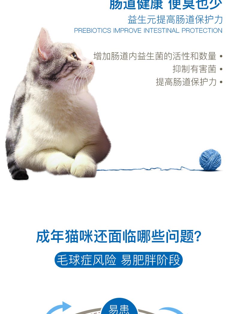 [25 tỉnh] Royal I27 của Pháp trong nhà thành một quả bóng lông thức ăn cho mèo * Gói quốc gia 2kg - Cat Staples Cách mix hạt cho mèo