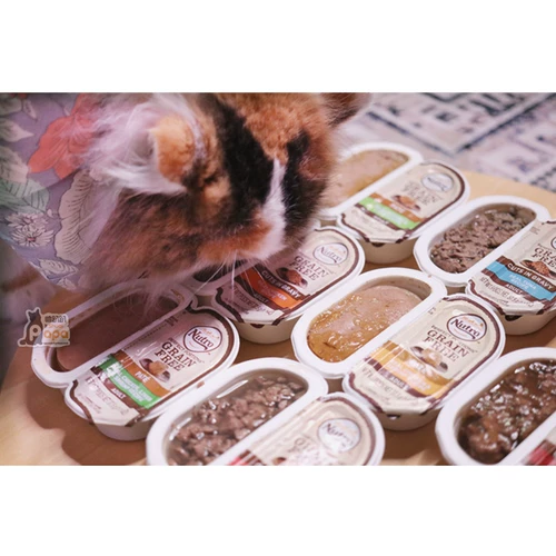 Mei Shi Cat Convined Bound Food Tank Cat может натуральная влажная пищевая пищевая продукция 75 г (один разделен на два)