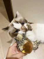 Gigwi - это игрушка для кошек, птичья игрушка, моделирование птиц. Мышь звучит душная, кошачья дразнящая кошачья палочка для кошачьи принадлежности для зубов измельчают зубы