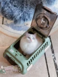 Lipkle Pet Air Box Care Cage и держите коробку для маленькой собачьей кошки из портативной космической кошки сумки для кошки