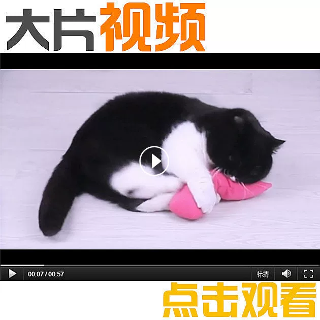 [Handsome lying] Japanese Kojima teasing cat thumb toy toy, cat stick cat grinding cat mint toy