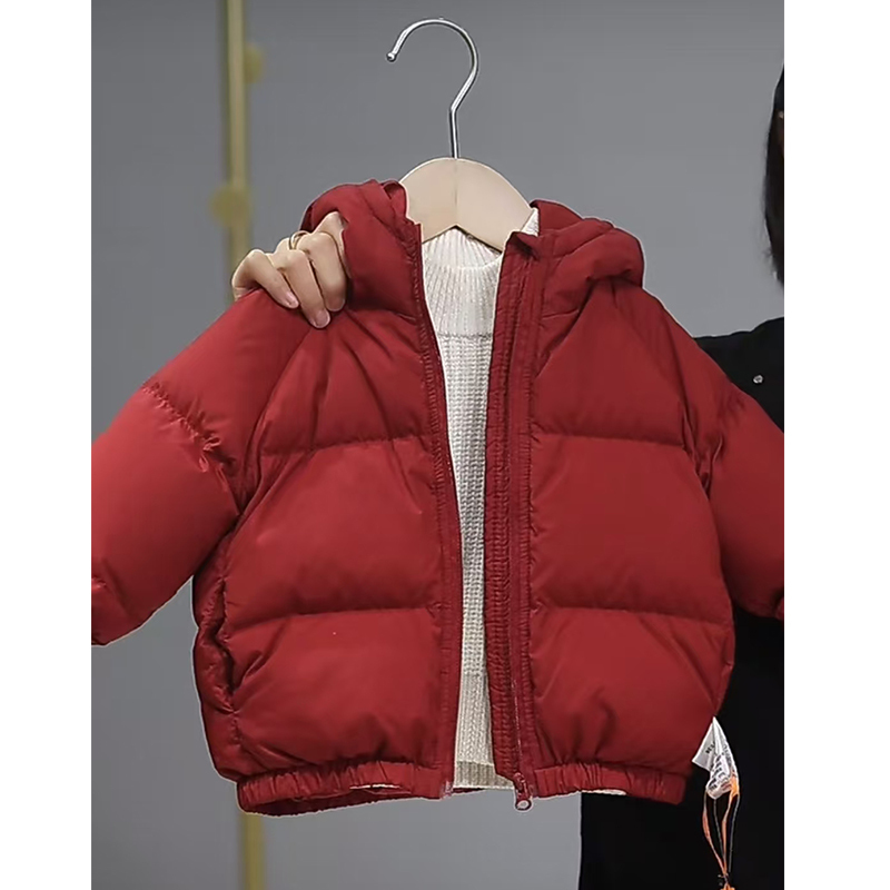 【Hooded Triple-Protection down Jacket Little Le Mommy】Baby down Jacket for Boys and Girls, Autumn and Winter Toddler Coat J