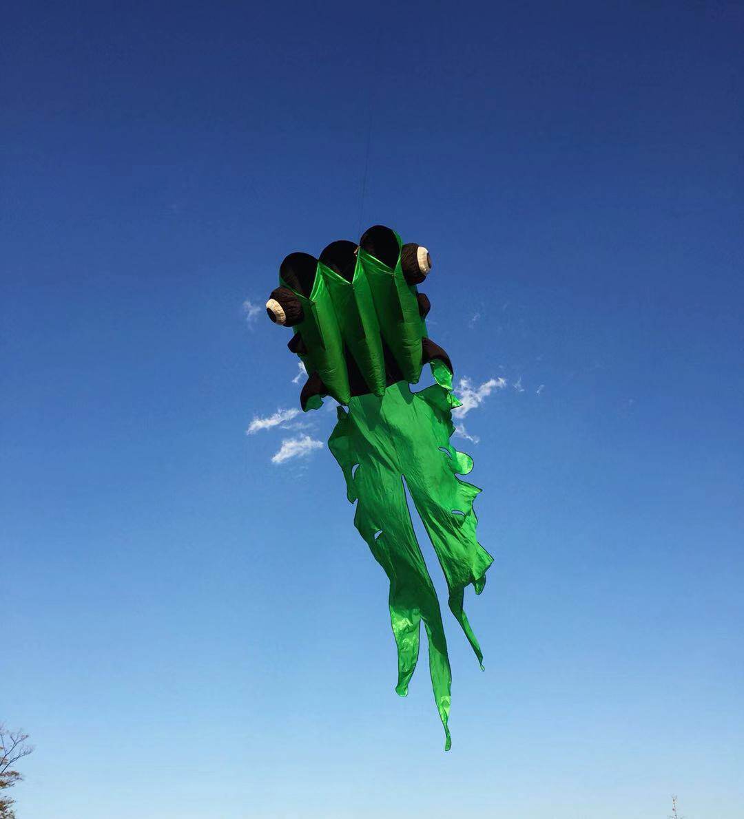 Sky Flying Software Fan Tail Fish Kite 23 Flat New Ultra Slim Light Nylon Umbrella Cloth Wind 2-7 Class