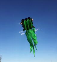 Tianfei soft fan tail fish kite 23 flat new 40D nylon umbrella fabric large adult kite 2 5-8