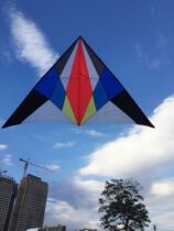 Kunming Tianfei new three flat triangle 40D umbrella carbon pole adult kite wind resistance 1 5-5 wind