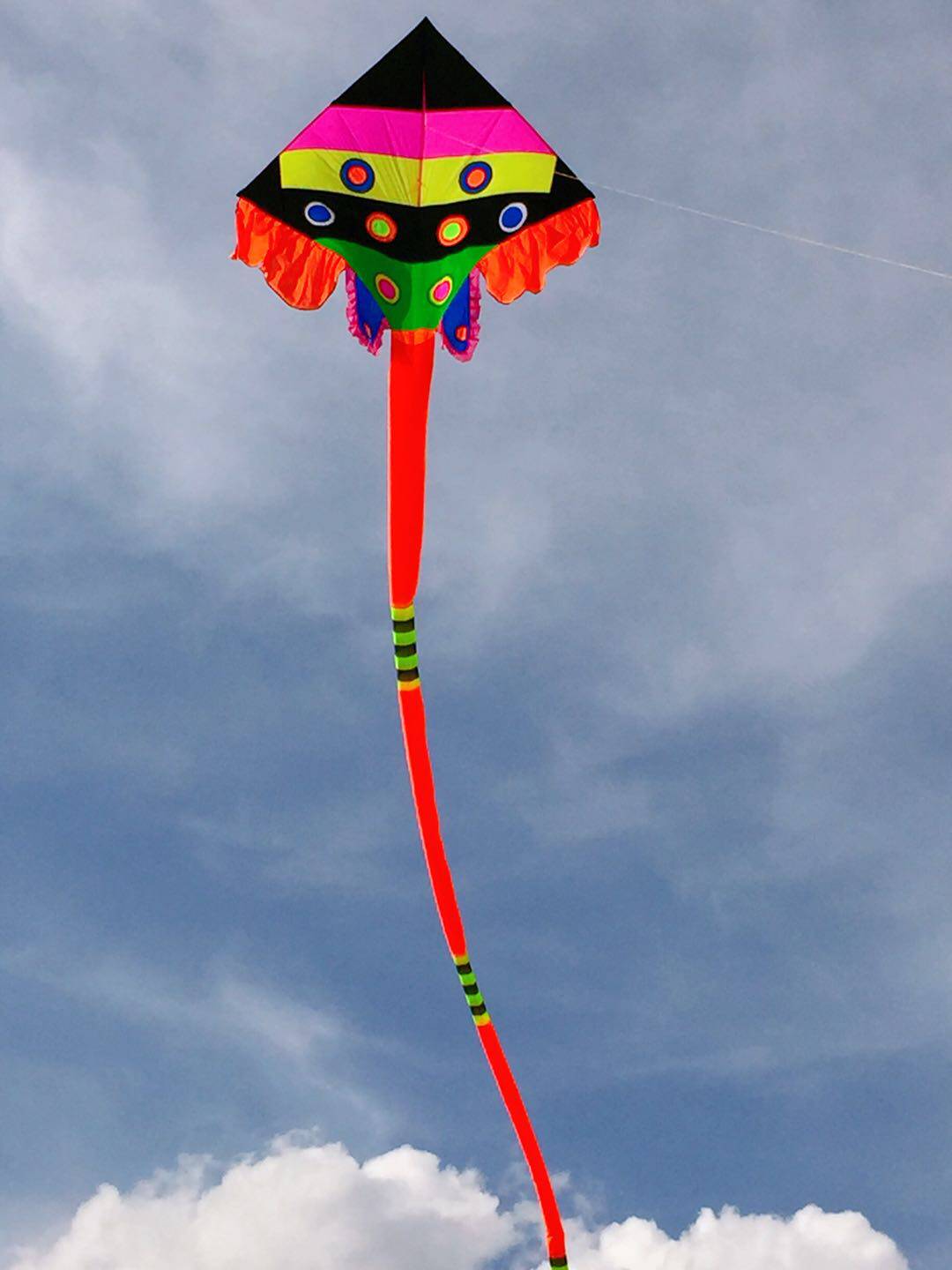 Tianfei high end 4 flat Yao fish wind - resistant kite 40D umbrella carbon pole height 285 width 280 stereo wafting tail 20 meters