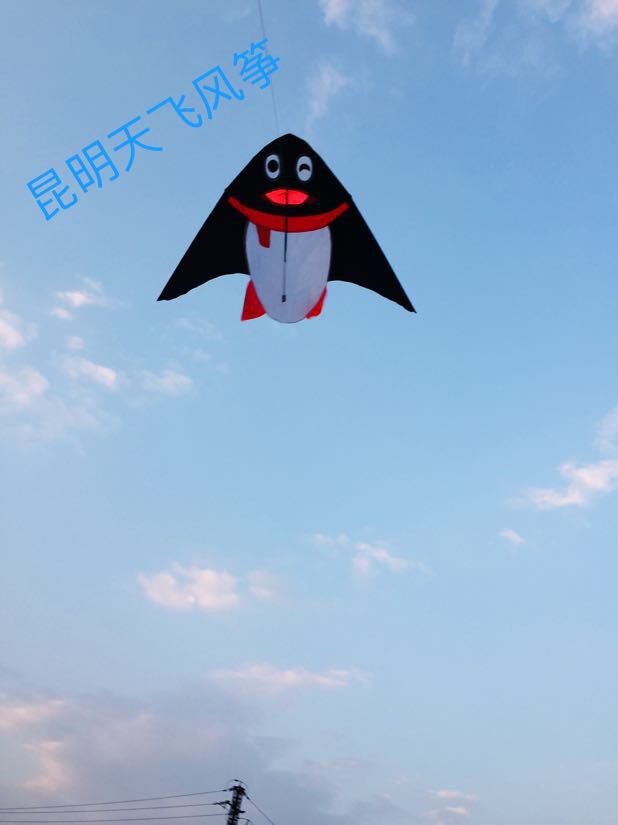 Yunnan Kunming Tianfei Penguin kite 1m 05*1m 95**