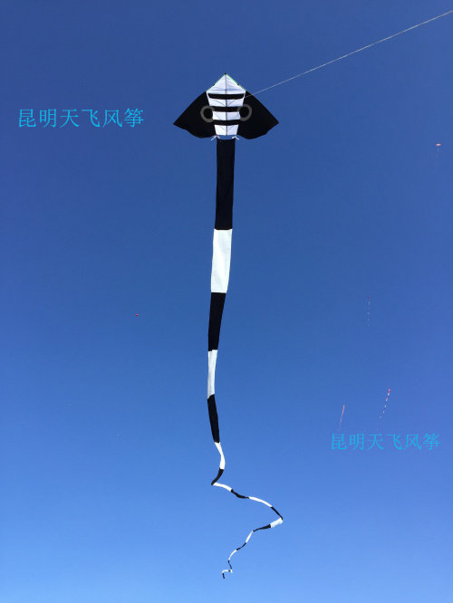 Kunming Tianfei Anti-wind King Triangle Large Eye Mirror Snake Adult Kite Tail 40 m