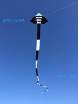 Kunming Tianfei anti-wind King triangle big Cobra adult kite tail 40 meters