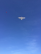 Yunnan Kunming Tianfei Eagle Kite 1 5 meters