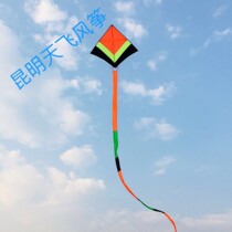 Sky flying Chasing the Wind King adult kite 1 2 High 1 4 wide 16cm wide 25 meters long