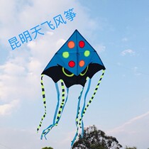 Kunming Tianfei kite jellyfish kite 1 meter 18*1 meter 75 **floating tail eight three meters long