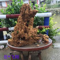 Medium and large bonsai water-absorbing stone bonsai bonsai rockery bonsai 40 to 50cm town house with Basin