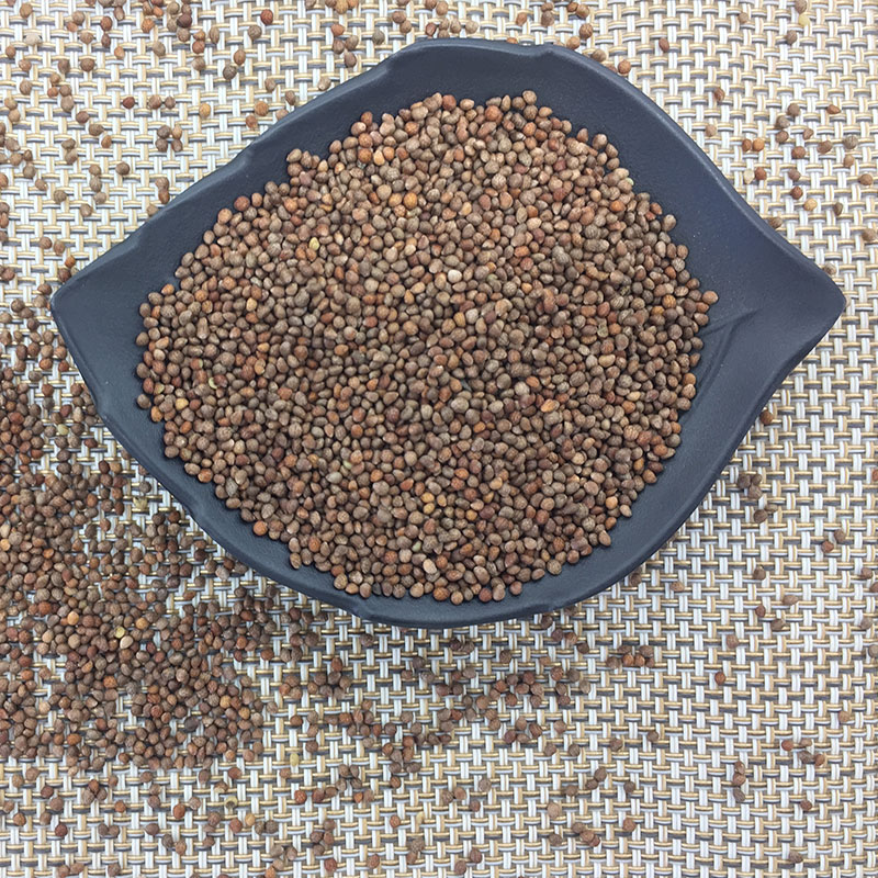 Large amount of preferential treatment for the northeastern purple suzu seed 1 catty
