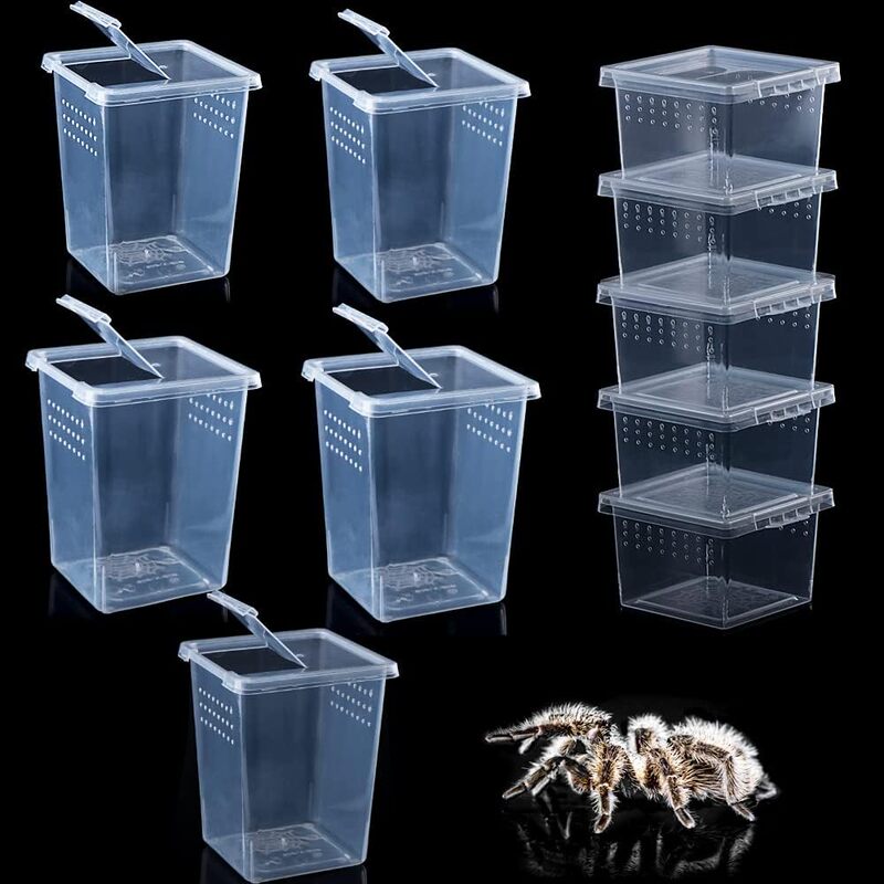 Breathable Flip-Top Insect Larva Breeding Box Spider Scorpion Insect Collection Mini Box Small Mantis Grasshopper Spider Box Breathable Flip-Top Insect Larva Breeding Box Spider Scorpion Insect Collection Mini Box Small Mantis Grasshopper Spider Box
