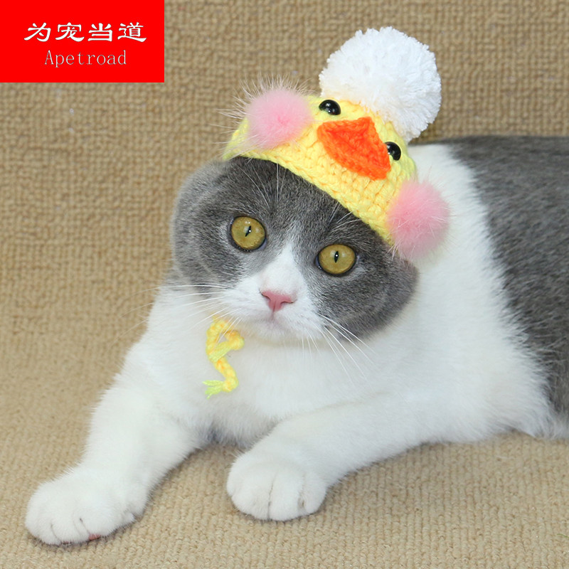Pet Hat Cat Hat Hood Headgear Bouric duck hat Cap Changing Cap Beauty Short English Short Cloth Puppies Cartoon Hat