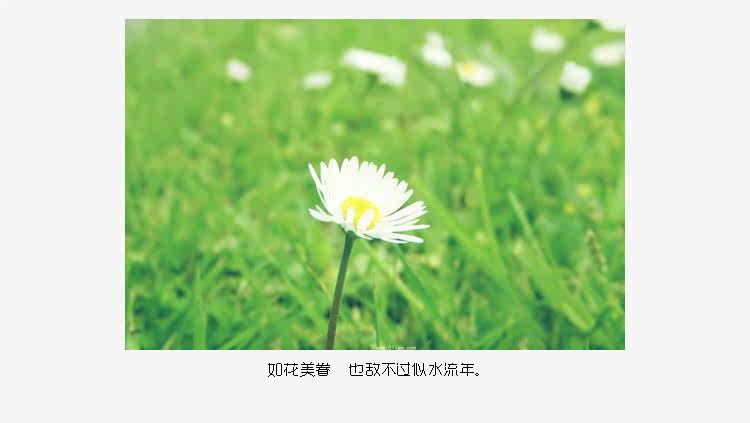 Peignoir - Ref 595574 Image 7